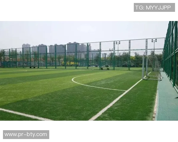 提升足球场绿地率的意义与实践探讨促进城市生态环境改善 提升足球场绿地率的意义与实践探讨促进城市生态环境改善